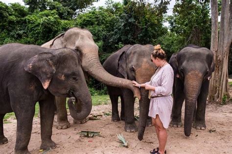 Samui Elephant Haven - Visiting a true elephant sanctuary in Koh Samui.