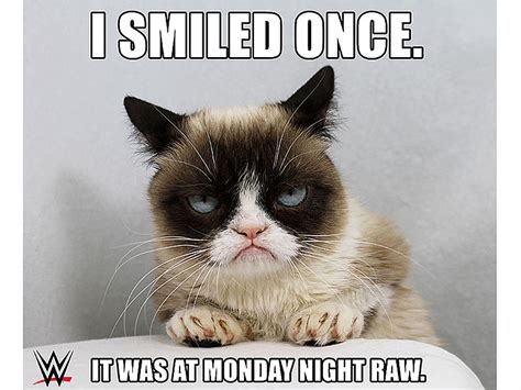 Christmas Grumpy Cat Quotes. QuotesGram