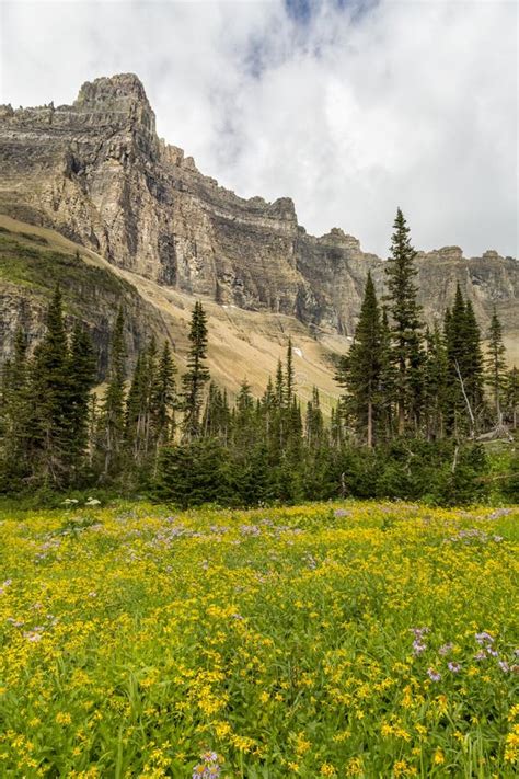 View from the Iceberg Lake Trail Stock Image - Image of trail, park ...