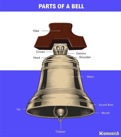 10 Parts of a Bell Diagram