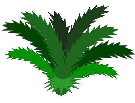 Free Jungle Plant Cliparts, Download Free Jungle Plant Cliparts png ...