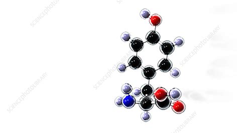 Tyrosine amino acid molecule - Stock Video Clip - K002/8514 - Science ...