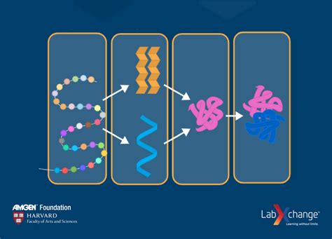 In the News: Protein Folding