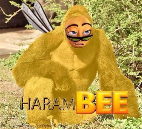 Bee movie memes | Dank Memes Amino