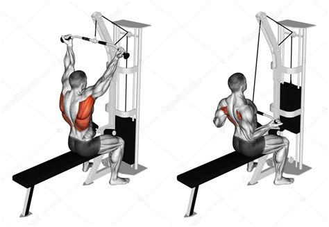 Reverse grip lat pulldown Stock Photo by ©print4ready@yahoo.com 114228030