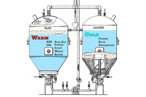 What is the difference between a lager and an ale? | Popular Science