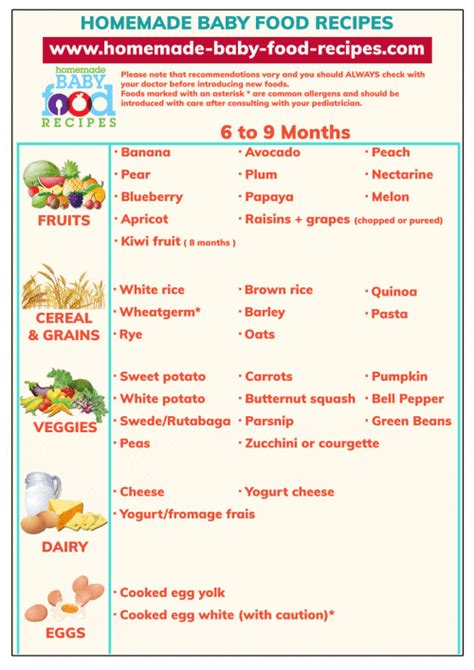 Baby Food Schedule For 6 To 9 Months