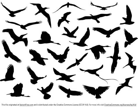 Free Vector Flying Birds Silhouette