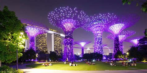 Gardens by the Bay - Singapore | Anolis LED Lighting