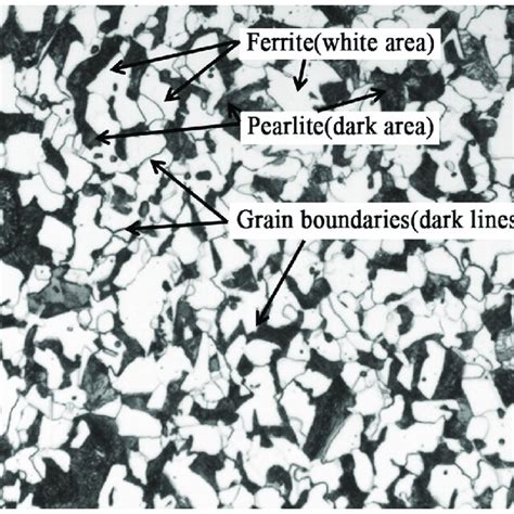 Typical ferrite-pearlite two-phase microstructure. | Download ...