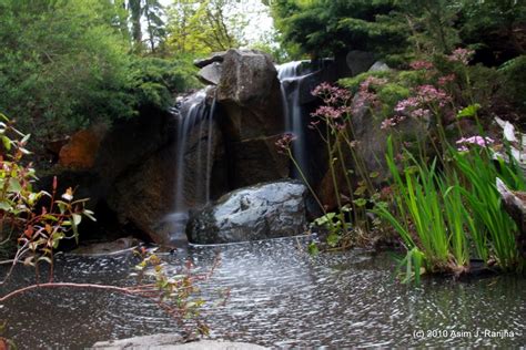 The Gardens - Bellevue Botanical Garden