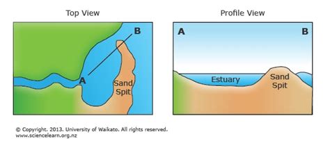 Estuary formation — Science Learning Hub