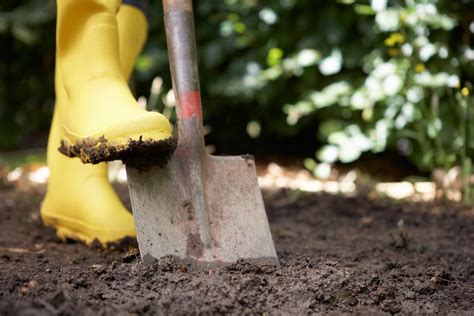 Using Shovels In The Garden - Types Of Garden Shovels And Their Uses ...