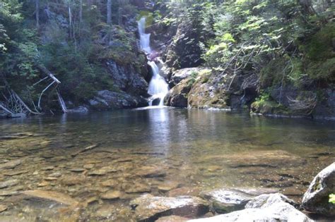 White Mountains Waterfalls: 5 Scenic Cascade Hikes | Scenic waterfall ...