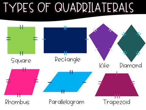 Types of Quadrilaterals Resource & Activity Set | Quadrilaterals ...