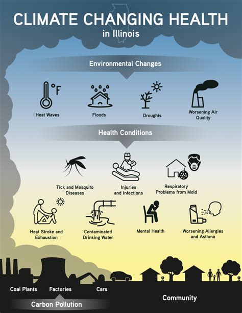 Impacts of climate change infographic - Derposter