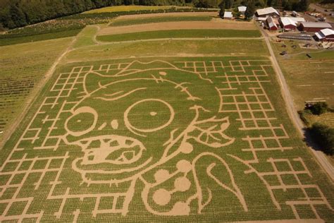 Plants vs. Zombies: Who's behind this epic corn maze? – GeekWire