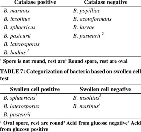 Catalase Positive Bacteria List