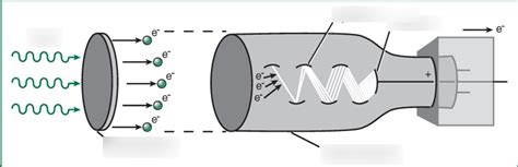 photomultiplier tube Diagram | Quizlet