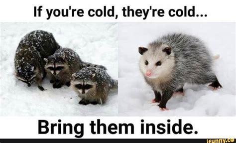 If you're cold, they're cold... Bring them inside. - iFunny | Awesome ...