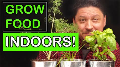 Growing Food Indoors – The Ultimate Guide – Planting A-Z