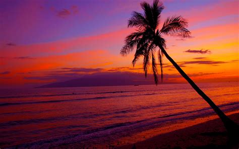 Hawaii Sunset Wallpaper - WallpaperSafari