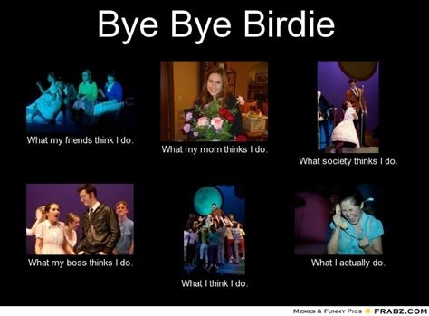 birdie | Bye bye birdie, Funny pictures, Birdy