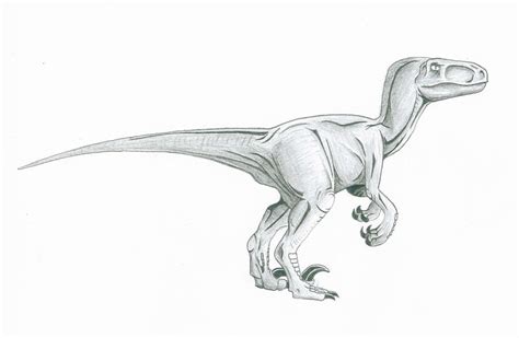 Raptor Drawing by Sarcasm-Required on DeviantArt