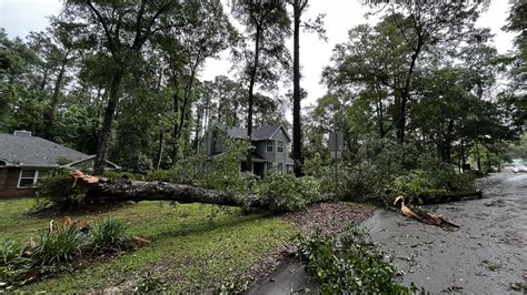 Tallahassee weather: Thursday storms down trees in Killearn Lakes