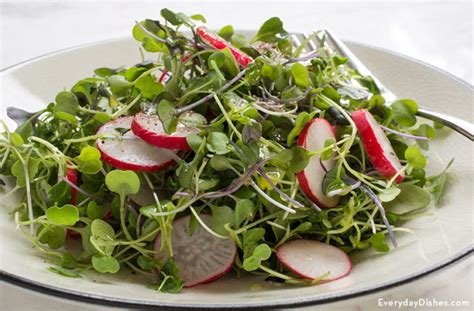 Microgreens Salad Recipe with Lime Vinaigrette