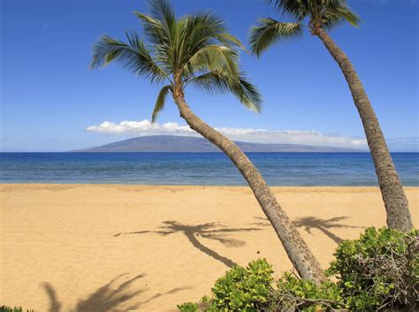 West Maui Hotels & Rentals | Hotels in Maui: Lahaina, Kaanapali, Napili