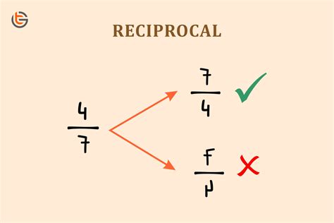 What is a reciprocal in math? | TEL Gurus