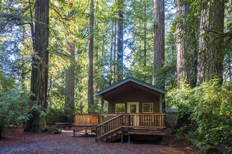 Campsites In Redwood National Park | Kids Matttroy