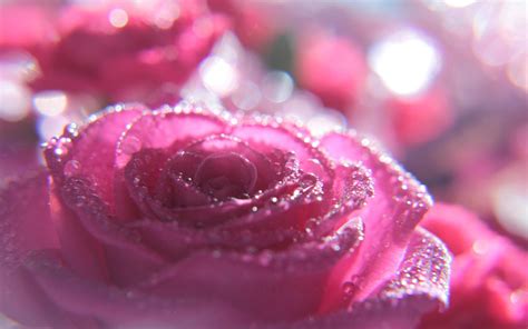 Macro Glitter Wallpapers - Wallpaper Cave