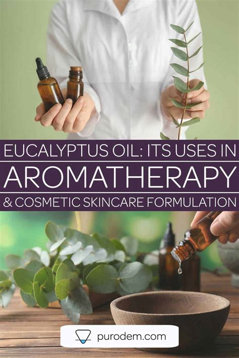 Eucalyptus Oil: Uses in Aromatherapy & Skincare Applications