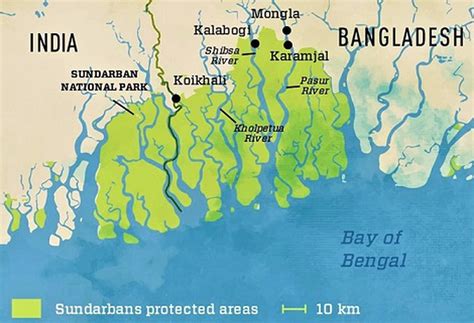 The Indian Sunderbans, which is part of the largest mangrove forest in ...