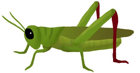 Download Grasshopper Clipart HQ PNG Image | FreePNGImg