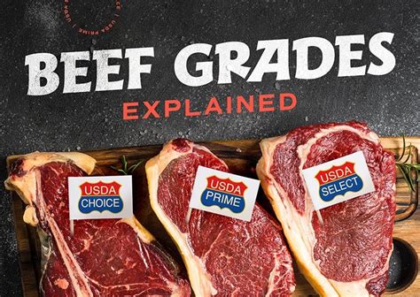 Explaining Beef Grades: What are They & What do They Mean?