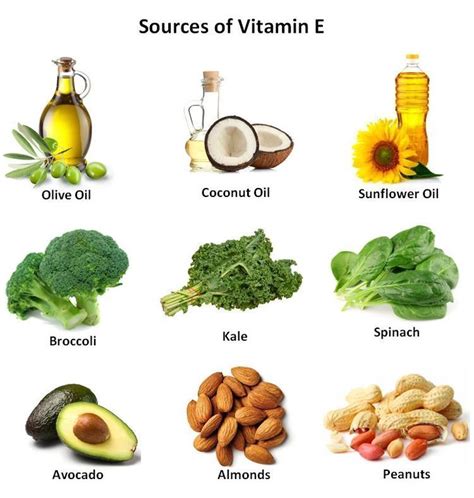 Vitamin E Sources – كونتنت