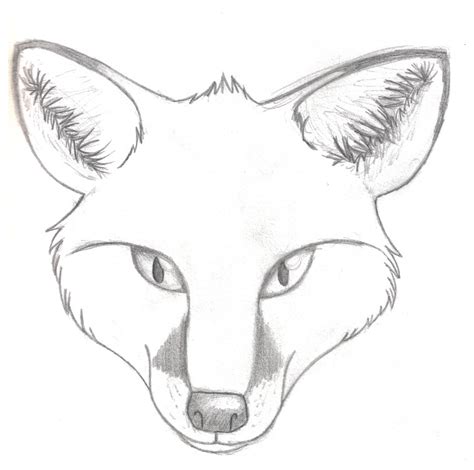 Realistic Fox Head by gabygalaxy on DeviantArt