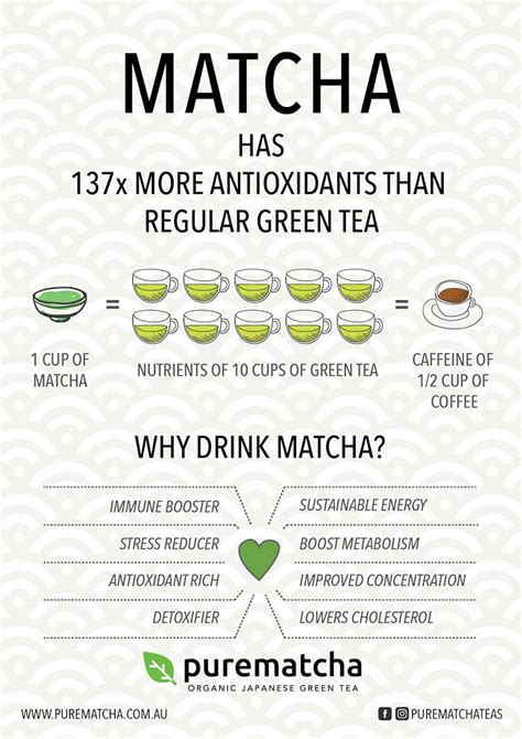 Health benefits of Matcha - Backed by Science | Purematcha Australia