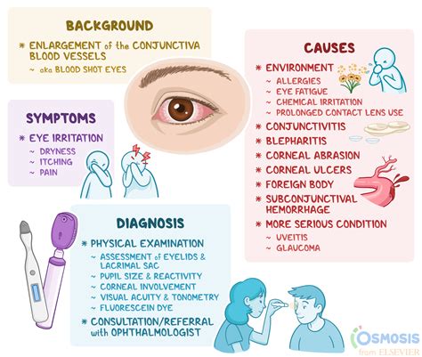 Inflammation of the Conjunctiva Involves Which of the Following