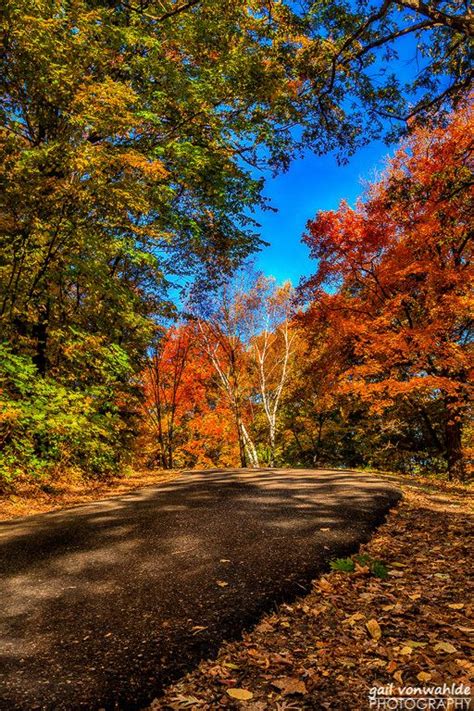 Autumn Trail | Autumn scenery, Scenery, Minnesota landscaping