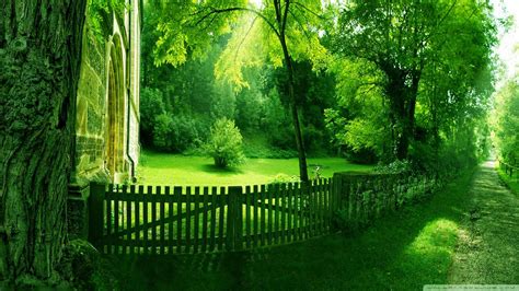 Free photo: Green Nature - Green, Landscape, Nature - Free Download ...