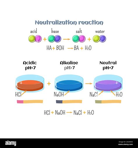 Acid-base neutralization reaction, illustration Stock Photo - Alamy