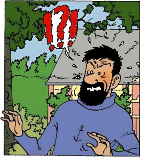 List of Captain Haddock's Curses | Tintin Wiki | Fandom