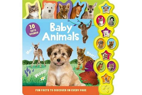 Baby Animals Boardbook with Sound – – Booky Wooky