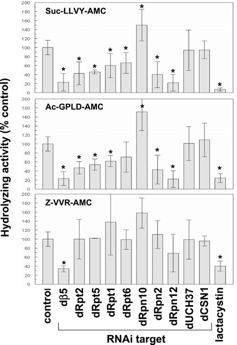 RNAi of most 26 S proteasome subunits decreases proteasome activity in ...