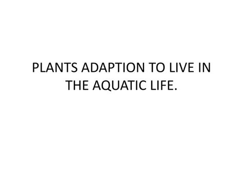 PPT - PLANTS ADAPTION TO LIVE IN THE AQUATIC LIFE. PowerPoint ...