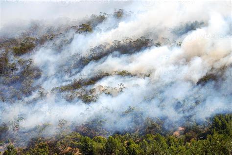 Smoke from a bushfire 876378 Stock Photo at Vecteezy